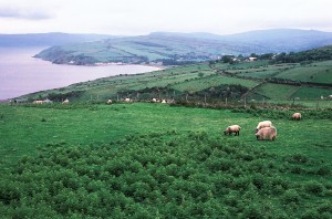 paesaggio_irlandese