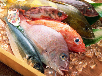 pesce