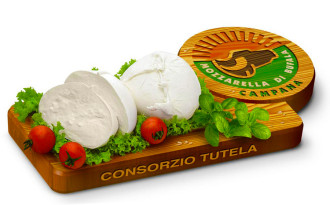 mozzarella di bufala