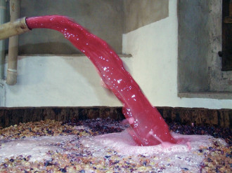 mosto