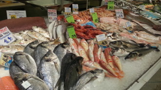 pescheria