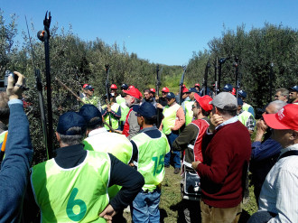 concorso potatura olivo