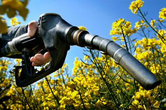biocarburanti