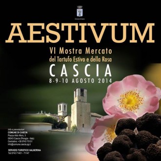 AESTIVUM