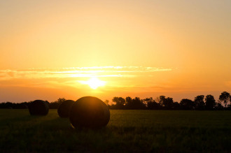 campagna