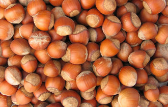 nocciole