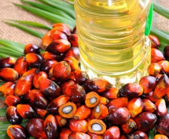 olio di palma_