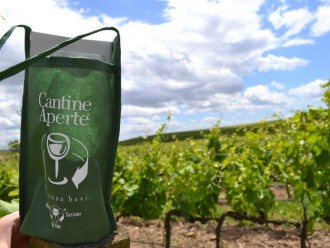 cantine aperte 2015