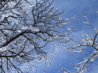 freddo neve