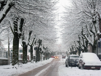 neve